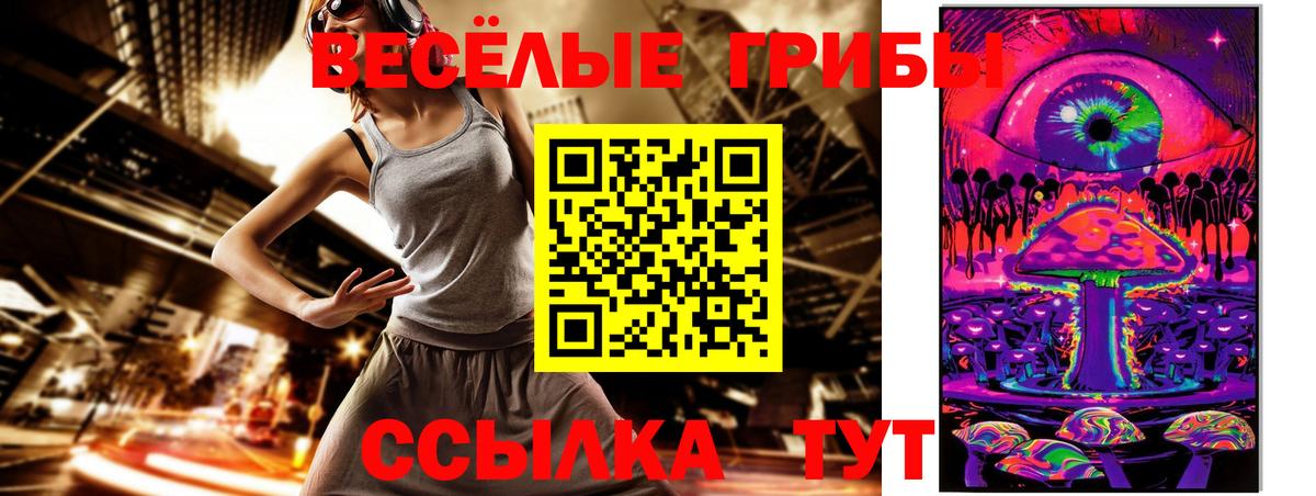 купить наркоту  Псилоцибиновые грибы MAGIC MUSHROOMS  Ивантеевка  Вход с VPN  Псилоцибиновые грибы ЛСД 